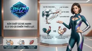 bh79 ban chat cua bo da nguyen nhan khien chien ke lep luc