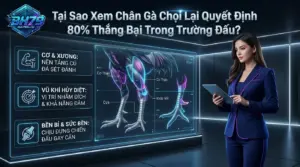 bh79 tai sao ky thuat xem chan ga quyet dinh 80 thang bai tren soi dau